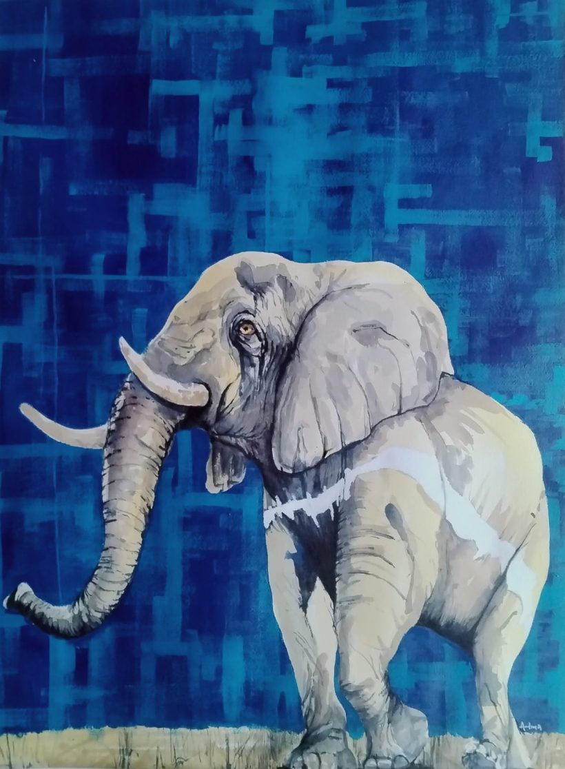 MALI Elefante